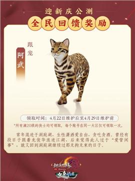 诡异 天龙八部私服